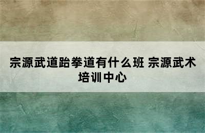 宗源武道跆拳道有什么班 宗源武术培训中心